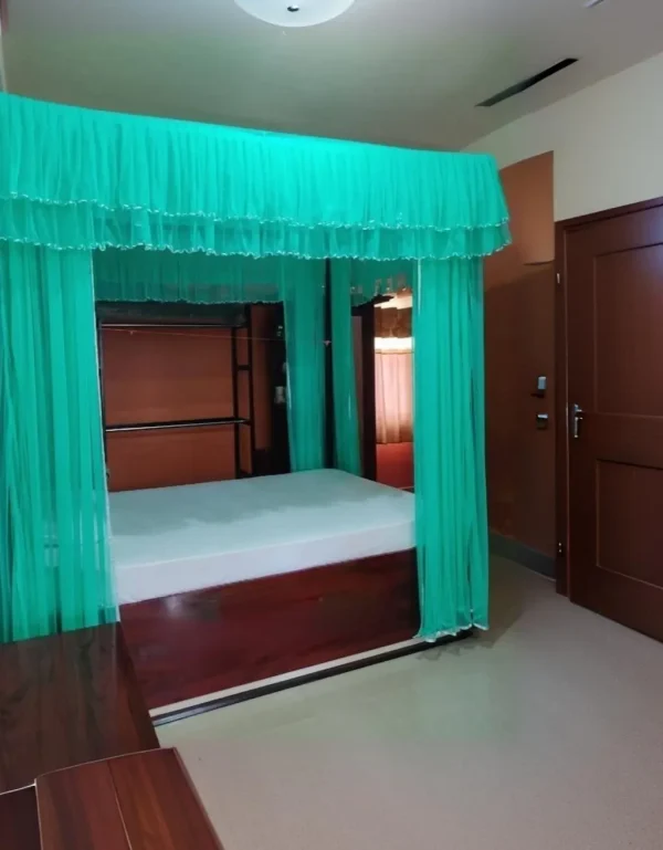 curtain style mosquito net