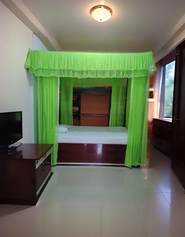 curtain style mosquito net