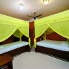lime pastel daily use mosquito net-large size