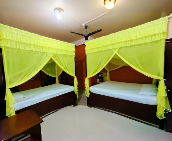 lime pastel daily use mosquito net-large size