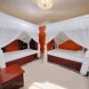 mosquito net for a peaceful night's sleep