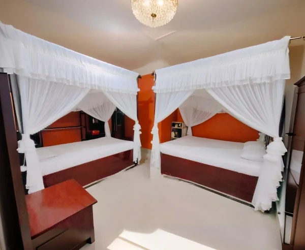 mosquito net for a peaceful night's sleep