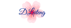 DLEITENG LOGO